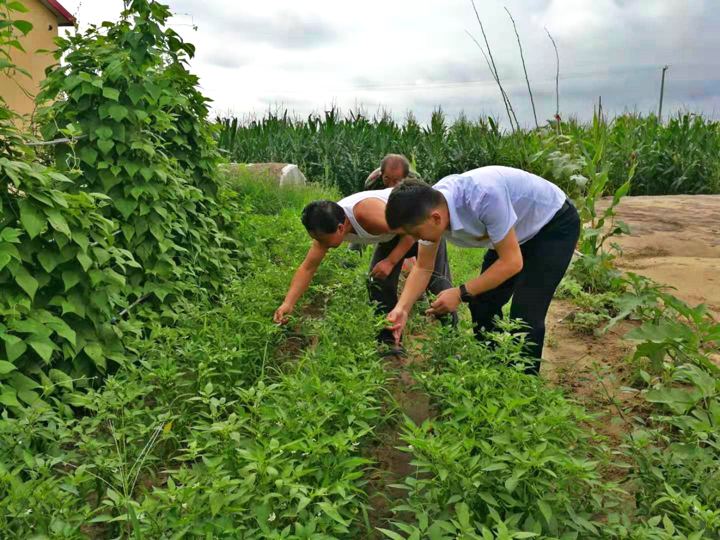 创新组织形式 让扶贫更有 “温度”